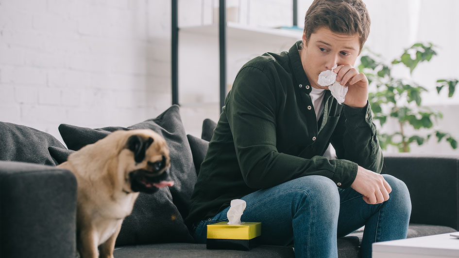 Installing an air purifier is one of the top ways to enhance your residence’s indoor air quality. Learn more about the three smartest products. 